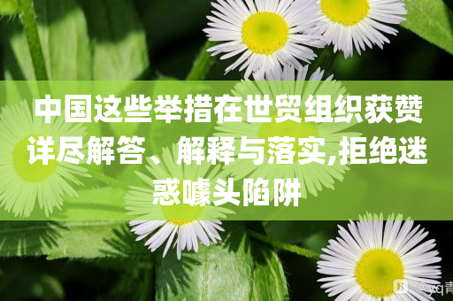 中國這些舉措在世貿(mào)組織獲贊詳盡解答、解釋與落實,拒絕迷惑噱頭陷阱