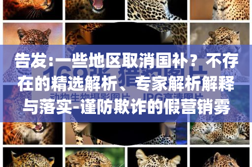 告發(fā):一些地區(qū)取消國補？不存在的精選解析、專家解析解釋與落實-謹(jǐn)防欺詐的假營銷霧