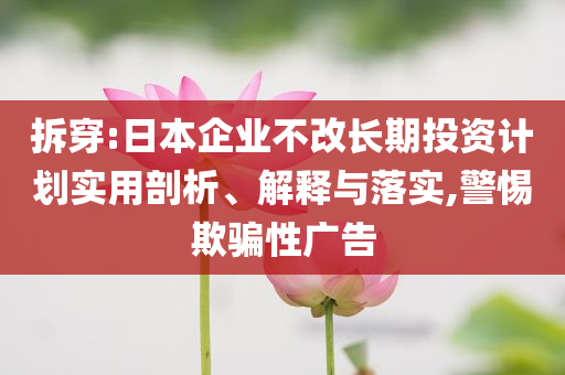 拆穿:日本企業(yè)不改長(zhǎng)期投資計(jì)劃實(shí)用剖析、解釋與落實(shí),警惕欺騙性廣告