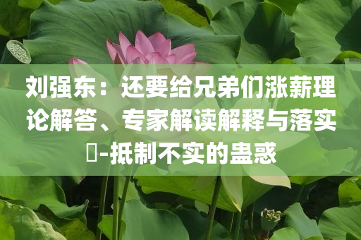 劉強東：還要給兄弟們漲薪理論解答、專家解讀解釋與落實?-抵制不實的蠱惑