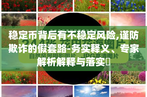 穩(wěn)定幣背后有不穩(wěn)定風(fēng)險,謹(jǐn)防欺詐的假套路-務(wù)實釋義、專家解析解釋與落實?
