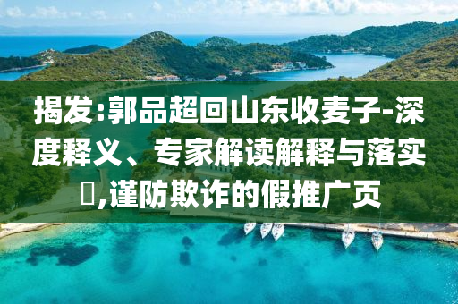揭發(fā):郭品超回山東收麥子-深度釋義、專家解讀解釋與落實?,謹(jǐn)防欺詐的假推廣頁