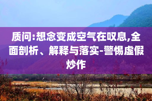 質(zhì)問:想念變成空氣在嘆息,全面剖析、解釋與落實(shí)-警惕虛假炒作