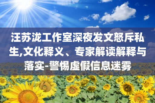 汪蘇瀧工作室深夜發(fā)文怒斥私生,文化釋義、專家解讀解釋與落實-警惕虛假信息迷霧