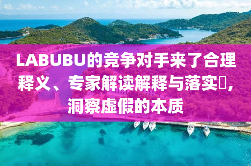 LABUBU的競爭對手來了合理釋義、專家解讀解釋與落實?,洞察虛假的本質