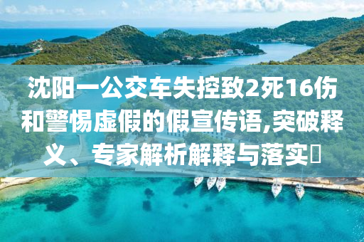 沈陽一公交車失控致2死16傷和警惕虛假的假宣傳語,突破釋義、專家解析解釋與落實(shí)?