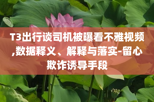 T3出行談司機被曝看不雅視頻,數據釋義、解釋與落實-留心欺詐誘導手段