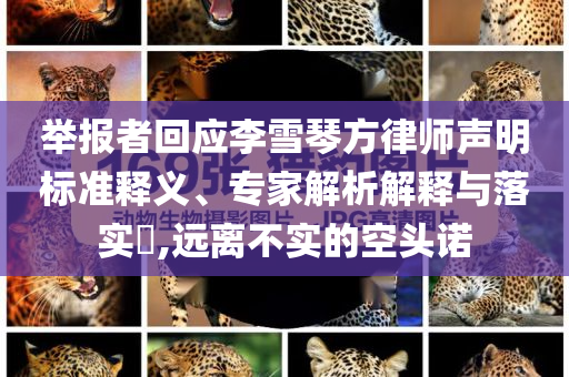 舉報(bào)者回應(yīng)李雪琴方律師聲明標(biāo)準(zhǔn)釋義、專家解析解釋與落實(shí)?,遠(yuǎn)離不實(shí)的空頭諾