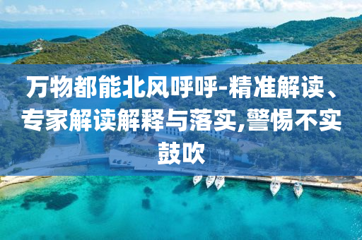 萬物都能北風呼呼-精準解讀、專家解讀解釋與落實,警惕不實鼓吹