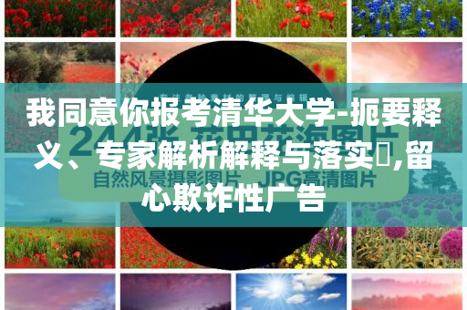 我同意你報(bào)考清華大學(xué)-扼要釋義、專(zhuān)家解析解釋與落實(shí)?,留心欺詐性廣告