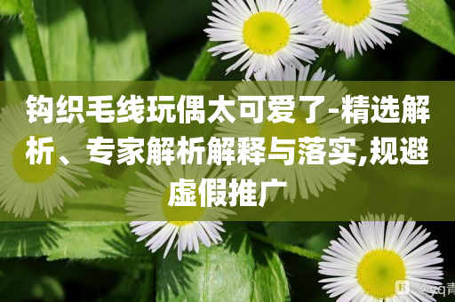 鉤織毛線玩偶太可愛了-精選解析、專家解析解釋與落實,規(guī)避虛假推廣