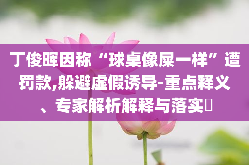丁俊暉因稱“球桌像屎一樣”遭罰款,躲避虛假誘導(dǎo)-重點釋義、專家解析解釋與落實?