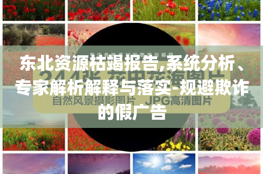 東北資源枯竭報(bào)告,系統(tǒng)分析、專家解析解釋與落實(shí)-規(guī)避欺詐的假?gòu)V告