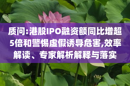 質(zhì)問:港股IPO融資額同比增超5倍和警惕虛假誘導(dǎo)危害,效率解讀、專家解析解釋與落實