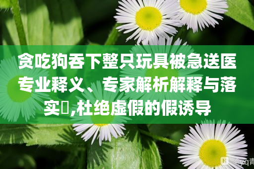 貪吃狗吞下整只玩具被急送醫(yī)專業(yè)釋義、專家解析解釋與落實(shí)?,杜絕虛假的假誘導(dǎo)