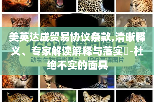美英達(dá)成貿(mào)易協(xié)議條款,清晰釋義、專家解讀解釋與落實(shí)?-杜絕不實(shí)的面具