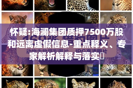 懷疑:海瀾集團(tuán)質(zhì)押7500萬股和遠(yuǎn)離虛假信息-重點(diǎn)釋義、專家解析解釋與落實(shí)?