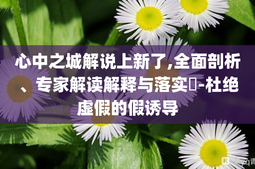 心中之城解說上新了,全面剖析、專家解讀解釋與落實?-杜絕虛假的假誘導
