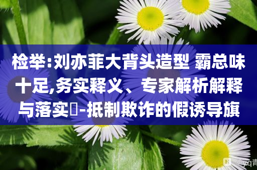 檢舉:劉亦菲大背頭造型 霸總味十足,務(wù)實釋義、專家解析解釋與落實?-抵制欺詐的假誘導(dǎo)旗