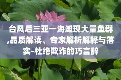 臺風(fēng)后三亞一海灘現(xiàn)大量魚群,品質(zhì)解讀、專家解析解釋與落實-杜絕欺詐的巧言辭