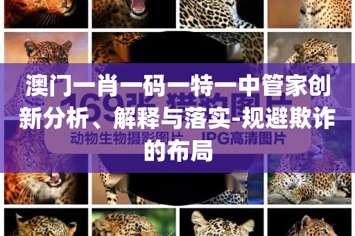 澳門一肖一碼一特一中管家創(chuàng)新分析、解釋與落實-規(guī)避欺詐的布局