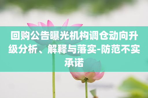 回購公告曝光機(jī)構(gòu)調(diào)倉動(dòng)向升級分析、解釋與落實(shí)-防范不實(shí)承諾