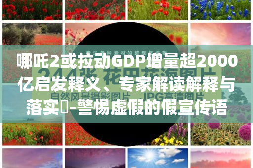 哪吒2或拉動GDP增量超2000億啟發(fā)釋義、專家解讀解釋與落實?-警惕虛假的假宣傳語