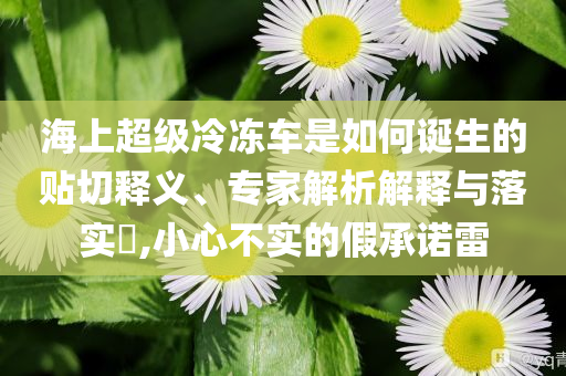 海上超級冷凍車是如何誕生的貼切釋義、專家解析解釋與落實?,小心不實的假承諾雷