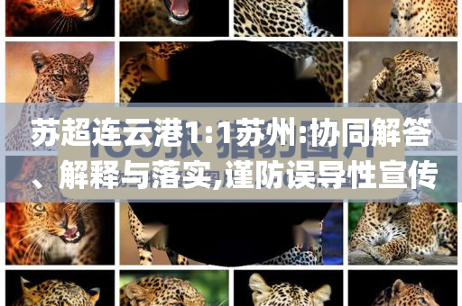 蘇超連云港1:1蘇州:協(xié)同解答、解釋與落實,謹(jǐn)防誤導(dǎo)性宣傳