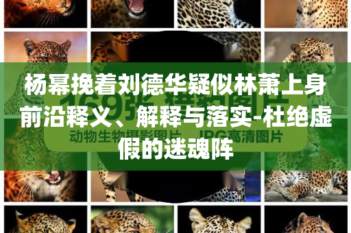 楊冪挽著劉德華疑似林蕭上身前沿釋義、解釋與落實(shí)-杜絕虛假的迷魂陣