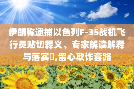 伊朗稱逮捕以色列F-35戰(zhàn)機(jī)飛行員貼切釋義、專家解讀解釋與落實(shí)?,留心欺詐套路