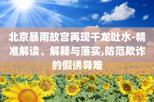 北京暴雨故宮再現(xiàn)千龍吐水-精準(zhǔn)解讀、解釋與落實,防范欺詐的假誘導(dǎo)難