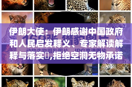 伊朗大使：伊朗感謝中國(guó)政府和人民啟發(fā)釋義、專家解讀解釋與落實(shí)?,拒絕空洞無(wú)物承諾