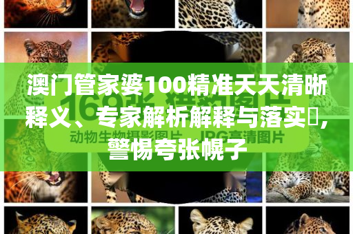 澳門管家婆100精準(zhǔn)天天清晰釋義、專家解析解釋與落實(shí)?,警惕夸張幌子
