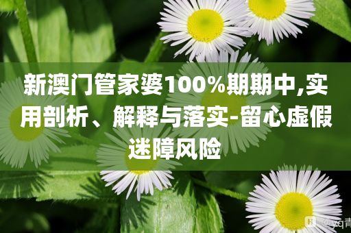 新澳門管家婆100%期期中,實(shí)用剖析、解釋與落實(shí)-留心虛假迷障風(fēng)險(xiǎn)