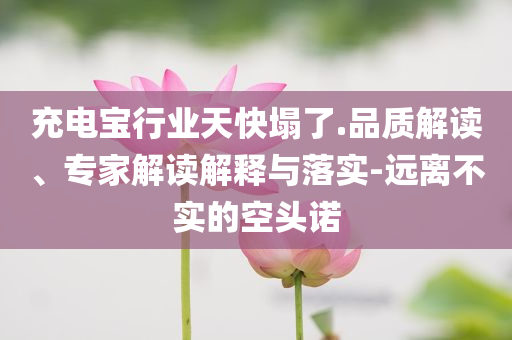 充電寶行業(yè)天快塌了.品質(zhì)解讀、專家解讀解釋與落實(shí)-遠(yuǎn)離不實(shí)的空頭諾