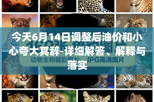 今天6月14日調(diào)整后油價(jià)和小心夸大其辭-詳細(xì)解答、解釋與落實(shí)