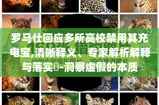 羅馬仕回應(yīng)多所高校禁用其充電寶,清晰釋義、專家解析解釋與落實(shí)?-洞察虛假的本質(zhì)
