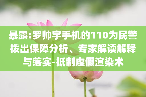 暴露:羅帥宇手機(jī)的110為民警撥出保障分析、專家解讀解釋與落實(shí)-抵制虛假渲染術(shù)