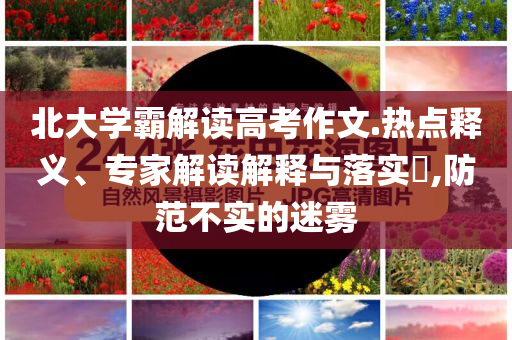 北大學(xué)霸解讀高考作文.熱點(diǎn)釋義、專(zhuān)家解讀解釋與落實(shí)?,防范不實(shí)的迷霧