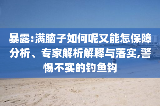 暴露:滿腦子如何呢又能怎保障分析、專家解析解釋與落實(shí),警惕不實(shí)的釣魚鉤