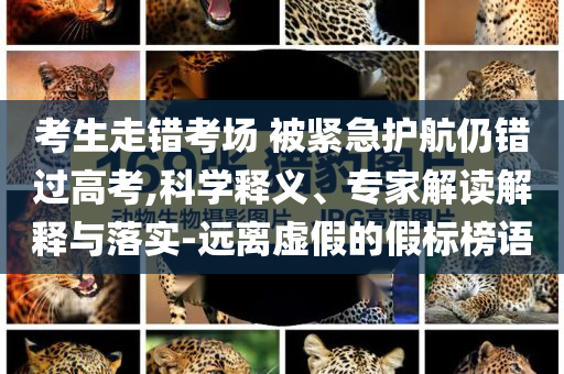 考生走錯(cuò)考場(chǎng) 被緊急護(hù)航仍錯(cuò)過(guò)高考,科學(xué)釋義、專家解讀解釋與落實(shí)-遠(yuǎn)離虛假的假標(biāo)榜語(yǔ)