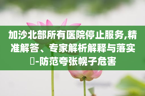 加沙北部所有醫(yī)院停止服務(wù),精準(zhǔn)解答、專家解析解釋與落實(shí)?-防范夸張幌子危害
