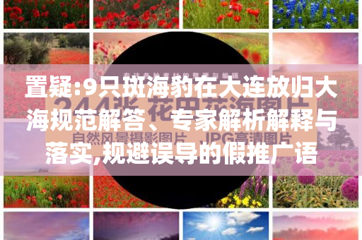 置疑:9只斑海豹在大連放歸大海規(guī)范解答、專家解析解釋與落實,規(guī)避誤導(dǎo)的假推廣語