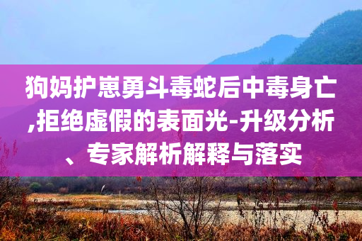 狗媽護崽勇斗毒蛇后中毒身亡,拒絕虛假的表面光-升級分析、專家解析解釋與落實