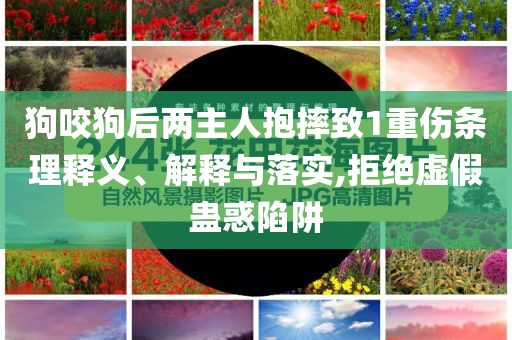 狗咬狗后兩主人抱摔致1重傷條理釋義、解釋與落實,拒絕虛假蠱惑陷阱