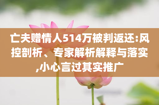 亡夫贈(zèng)情人514萬被判返還:風(fēng)控剖析、專家解析解釋與落實(shí),小心言過其實(shí)推廣