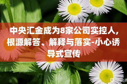 中央?yún)R金成為8家公司實控人,根源解答、解釋與落實-小心誘導式宣傳