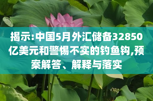 揭示:中國5月外匯儲(chǔ)備32850億美元和警惕不實(shí)的釣魚鉤,預(yù)案解答、解釋與落實(shí)