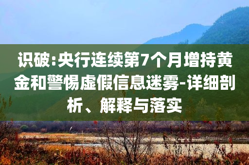 識(shí)破:央行連續(xù)第7個(gè)月增持黃金和警惕虛假信息迷霧-詳細(xì)剖析、解釋與落實(shí)